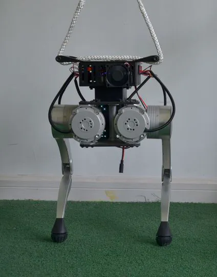 Implementation of VMC+WBC algorithm for bipedal robot.